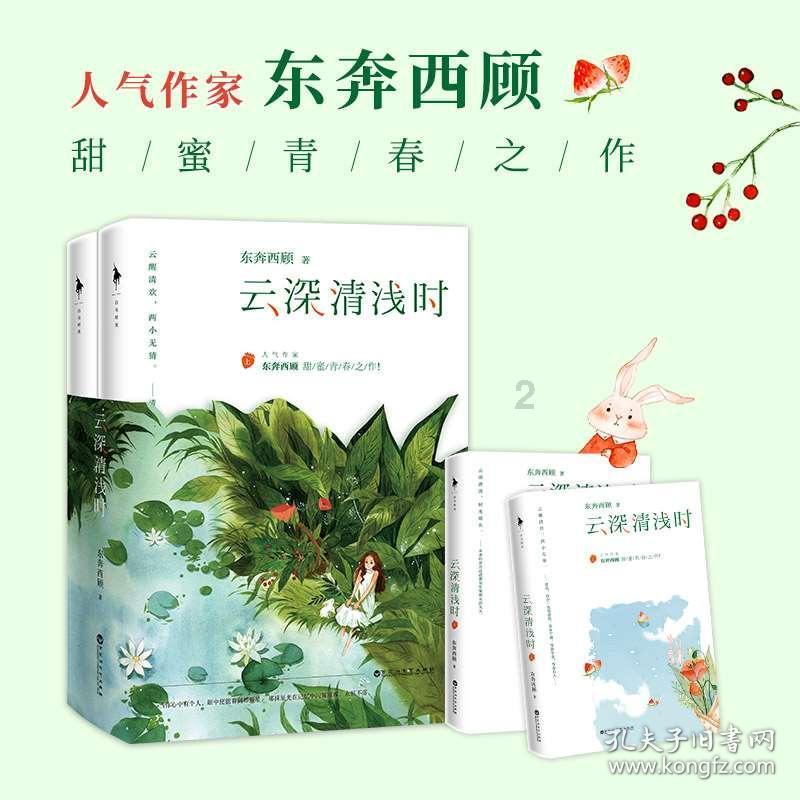 深入了解电脑安装抖音,怎么安装的,答疑解惑一站搞定